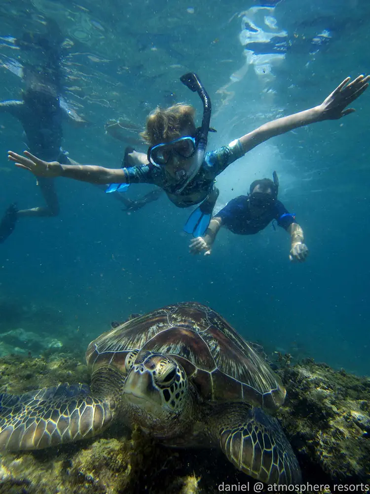 kids snorkelling