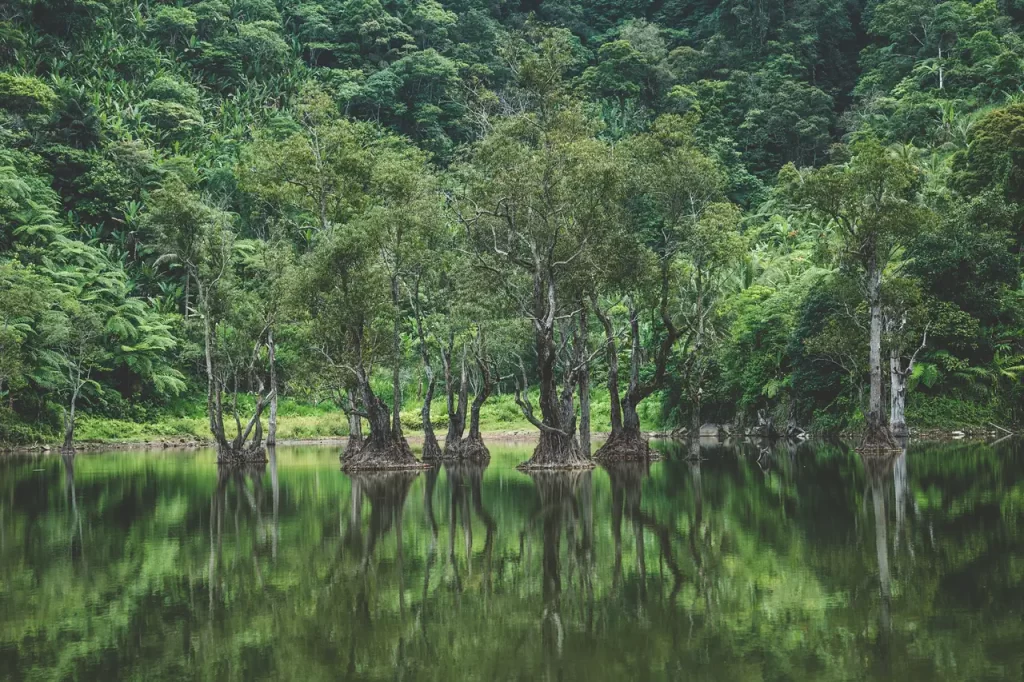 Lake Balinsasayao Lake surrounded by trees in Balinsasayao Negros Oriental also know as the twin lakes