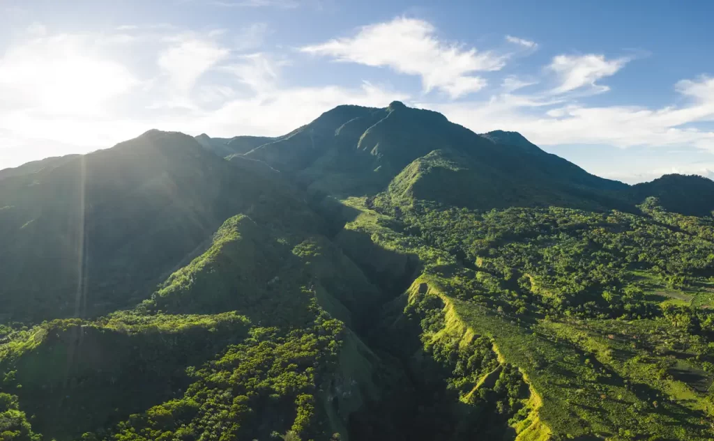Mount Talinis Cuernos de Negros Lush forest of Mt Talinis Negros Oriental