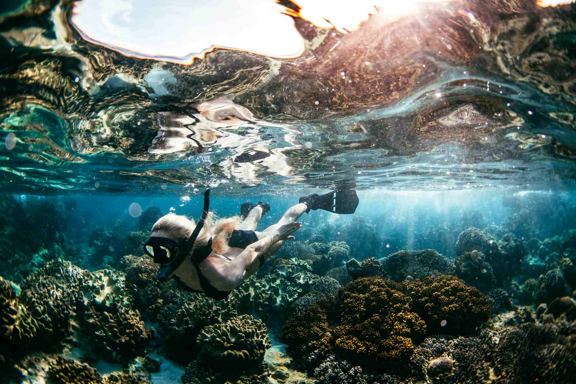 Snorkeler exploring vibrant coral reefs in shallow tropical waters.