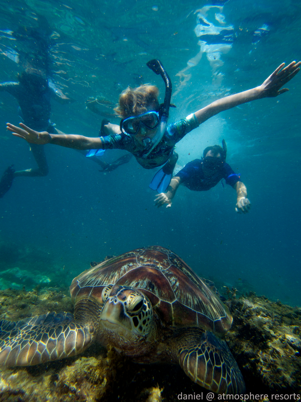 Child snorkeling above a sea turtle at Apo Island marine sanctuary in the Philippines