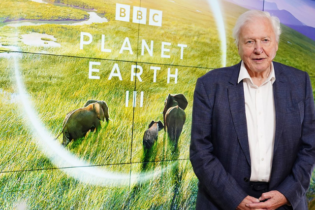 David Attenborough standing in front of a BBC Planet Earth III display featuring elephants in a grassland