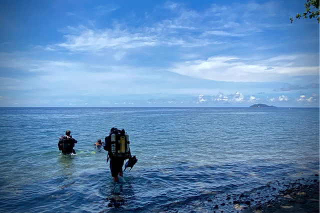 Two divers wearing full scuba gear enter the ocean from the shoreline in Dauin, Negros Oriental, under a bright blue sky.