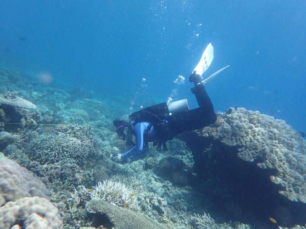 Surveying coral reefs in Dauin