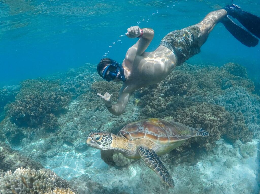 Snorkeler swimming alongside a green sea turtle above a healthy coral reef at Apo Island Marine Sanctuary near Dauin, Philippines. Photo by @activeescapes.