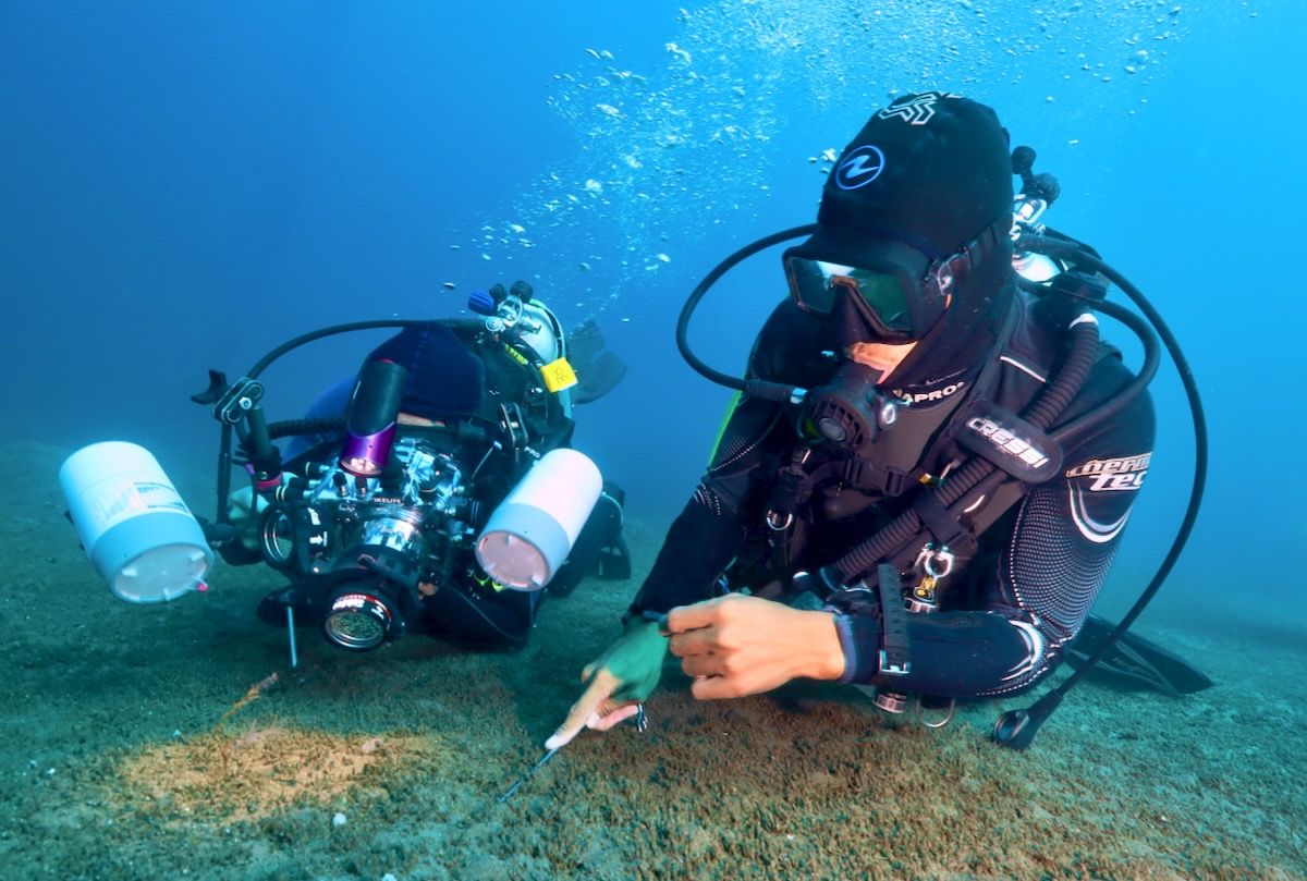 scuba divers on a sandy or silty sea floor of Dauin