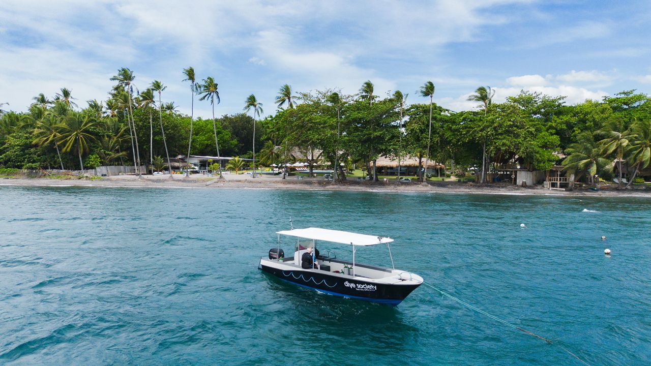 private boat trips in apo island